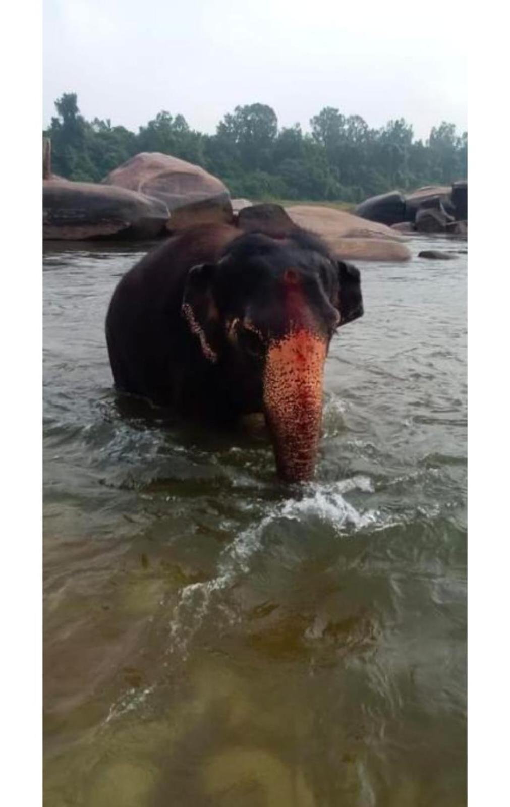 Manoj Homestay Hampi Zewnętrze zdjęcie
